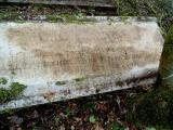 image of grave number 495522